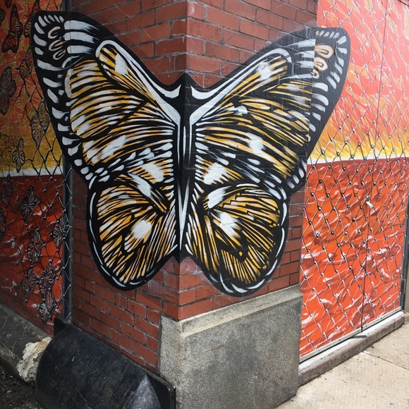 Meet your Posher, Marianela - Picture 2 of 2